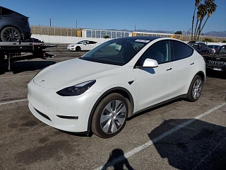 TESLA MODEL Y 2024 TESLA MODEL Y 2024