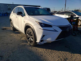 LEXUS NX 300 2019