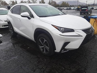 LEXUS NX 300 2019