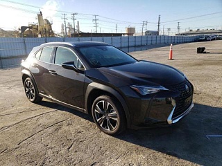 LEXUS UX 250H 2021